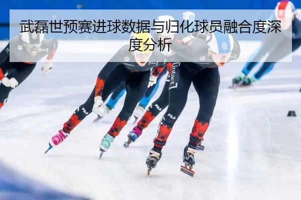 武磊世预赛进球数据与归化球员融合度深度分析
